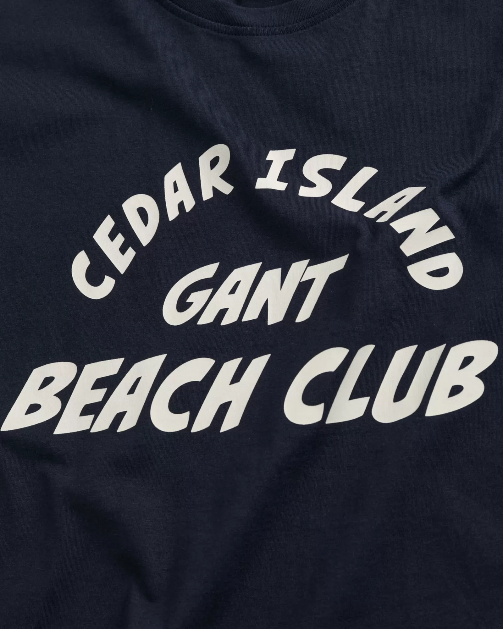 Men GANT T-Shirts*Cedar Graphic T-Shirt EVENING BLUE